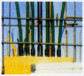 CD_CD-P Tube 3.gif
